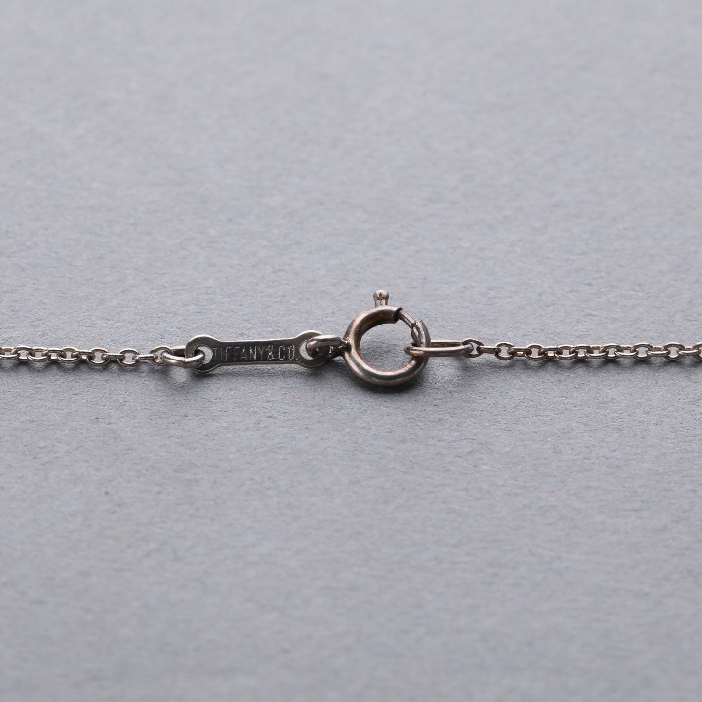 Tiffany & Co. / Interlocking Circles Necklace