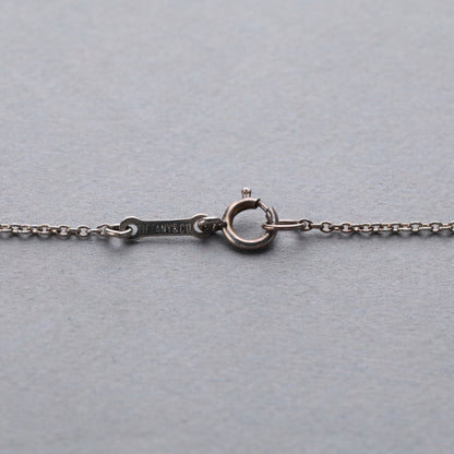 Tiffany & Co. / Interlocking Circles Necklace
